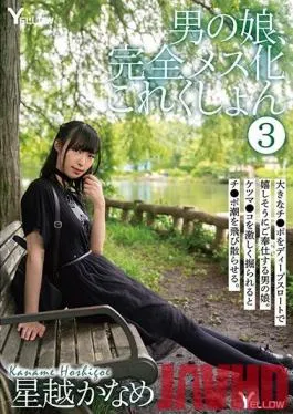 HERY-105 Studio YELLOW / Mousouzoku – Trap Total Sissification Collection 3 Kaname Hoshigoe