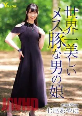 HERY-141 Ayaha Nanao, The World’s Most Beautiful Male Pig