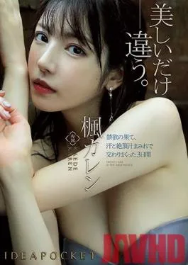 IPX-580 Studio Idea Pocket – Finally Getting To Fuck After A Long Dry Spell – Drenched In Sweat And Pussy Juice For Three Days Karen Kaede