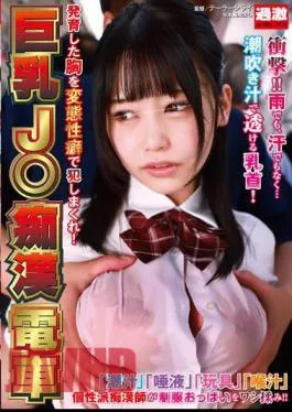 NHDTB-851 Big-breasted J Molester Train – Rape Her Grown Breasts With Perverted Fetishes!